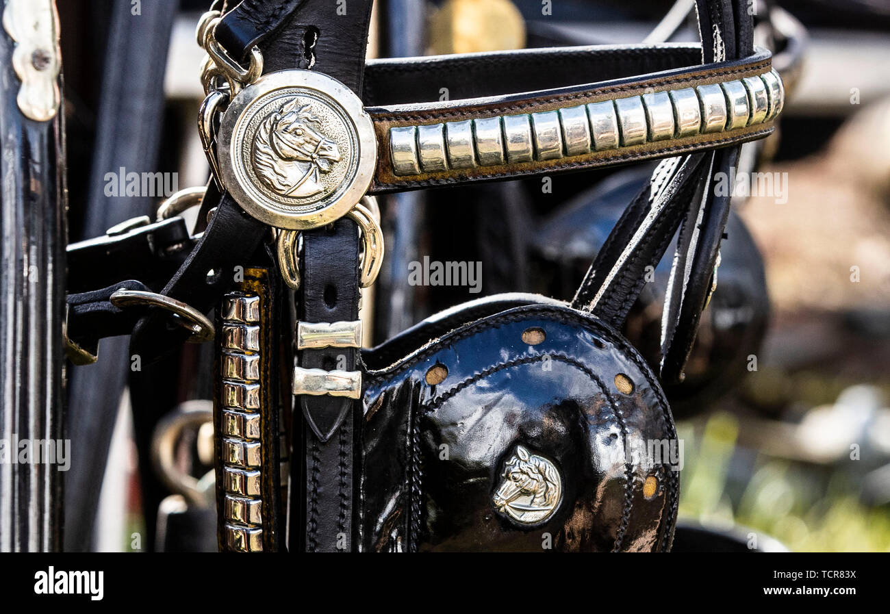 Apparecchiatura durante Appleby Horse Fair, un incontro annuale di viaggiatori in Cumbria. Foto Stock