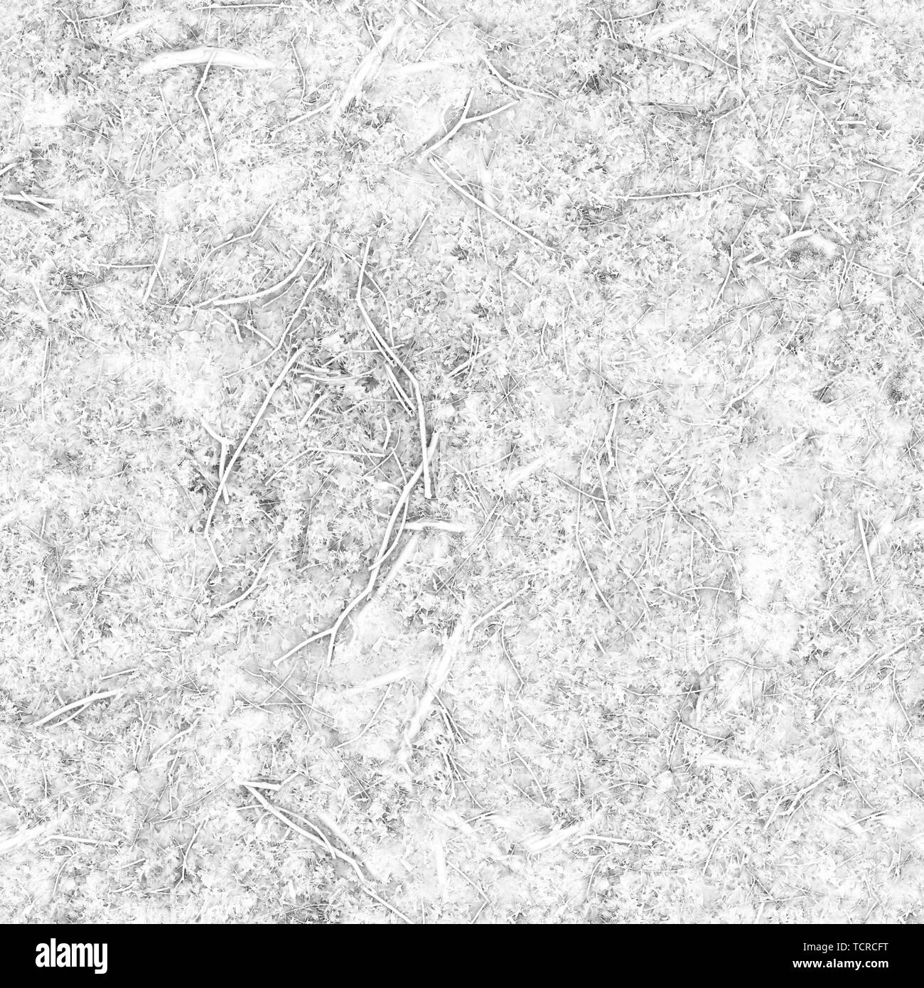 Pulire i vetrini per microscopio in vetro su sfondo bianco Foto stock -  Alamy