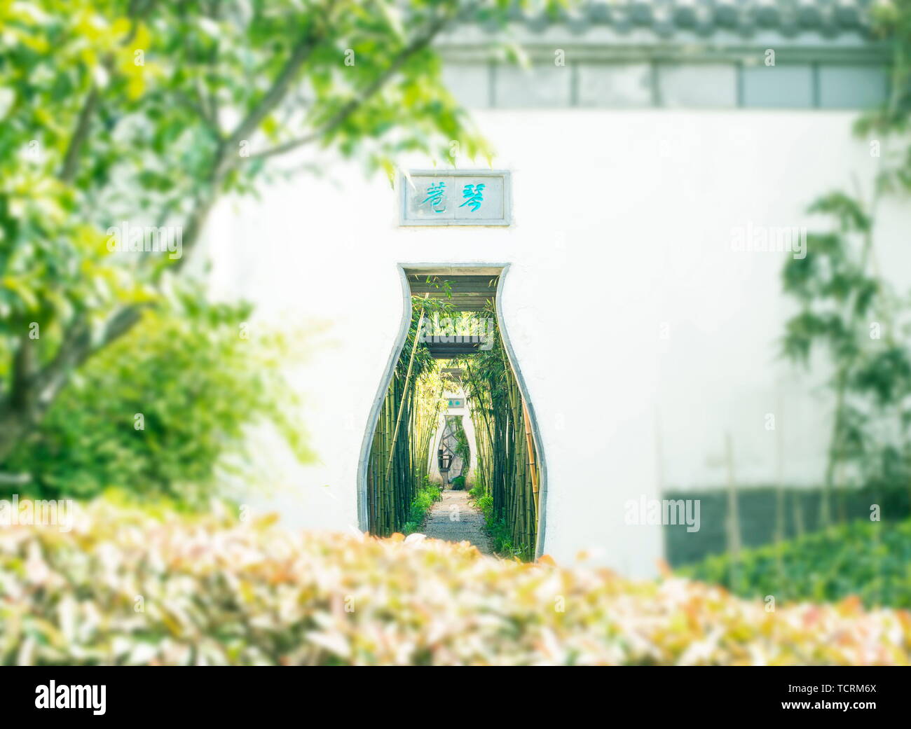 Foto Creative includono paesaggi, architettura, animali ecc. Foto Stock