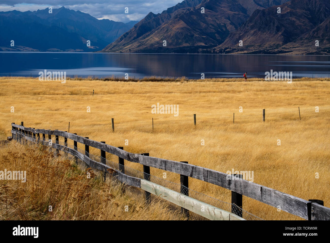 Determinato escursionista sulle rive del lago Hawea, Isola del Sud della Nuova Zelanda Foto Stock