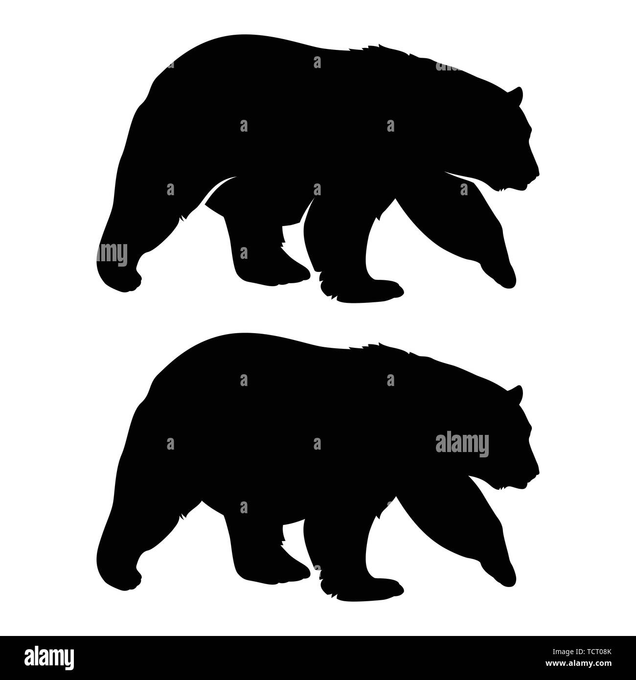 Bear silhouette. Bianco nero illustrazione vettoriale Illustrazione Vettoriale