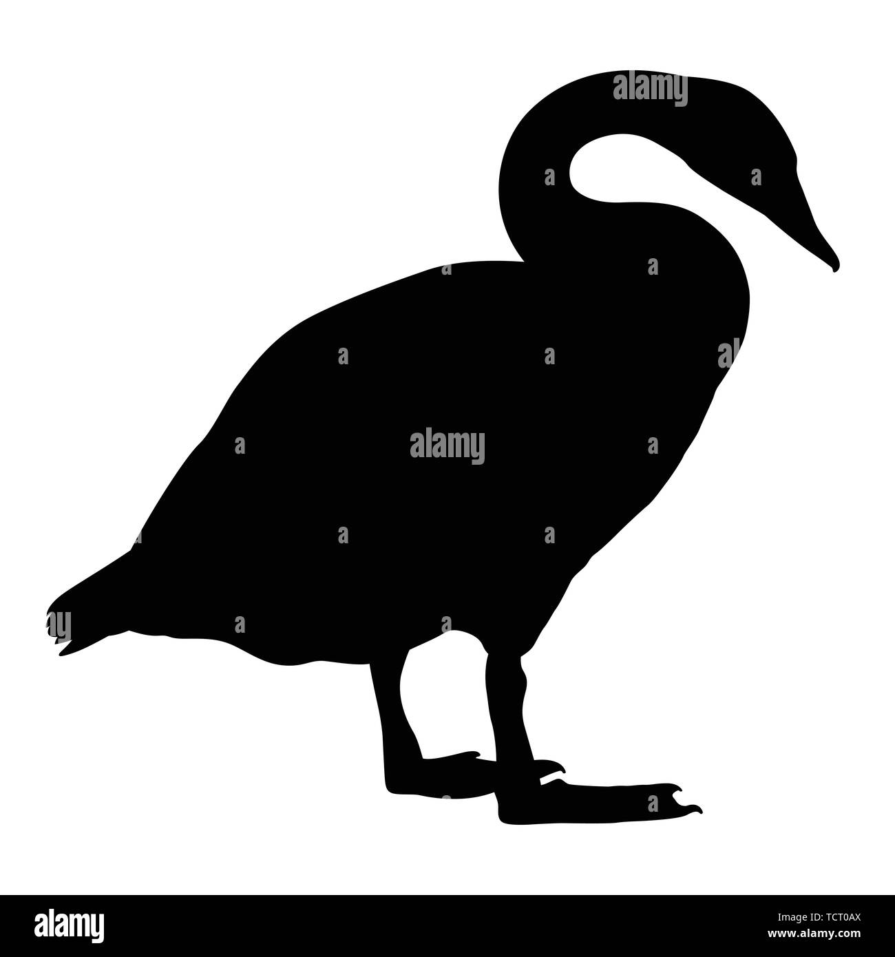 Vettore di Swan silhouette. Duck, swan, oca in bianco e nero illustrazione Illustrazione Vettoriale