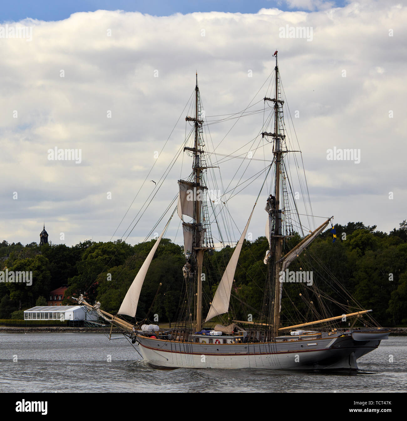 Shamrock barca vela vela sul mare in direzione di Stoccolma Foto Stock