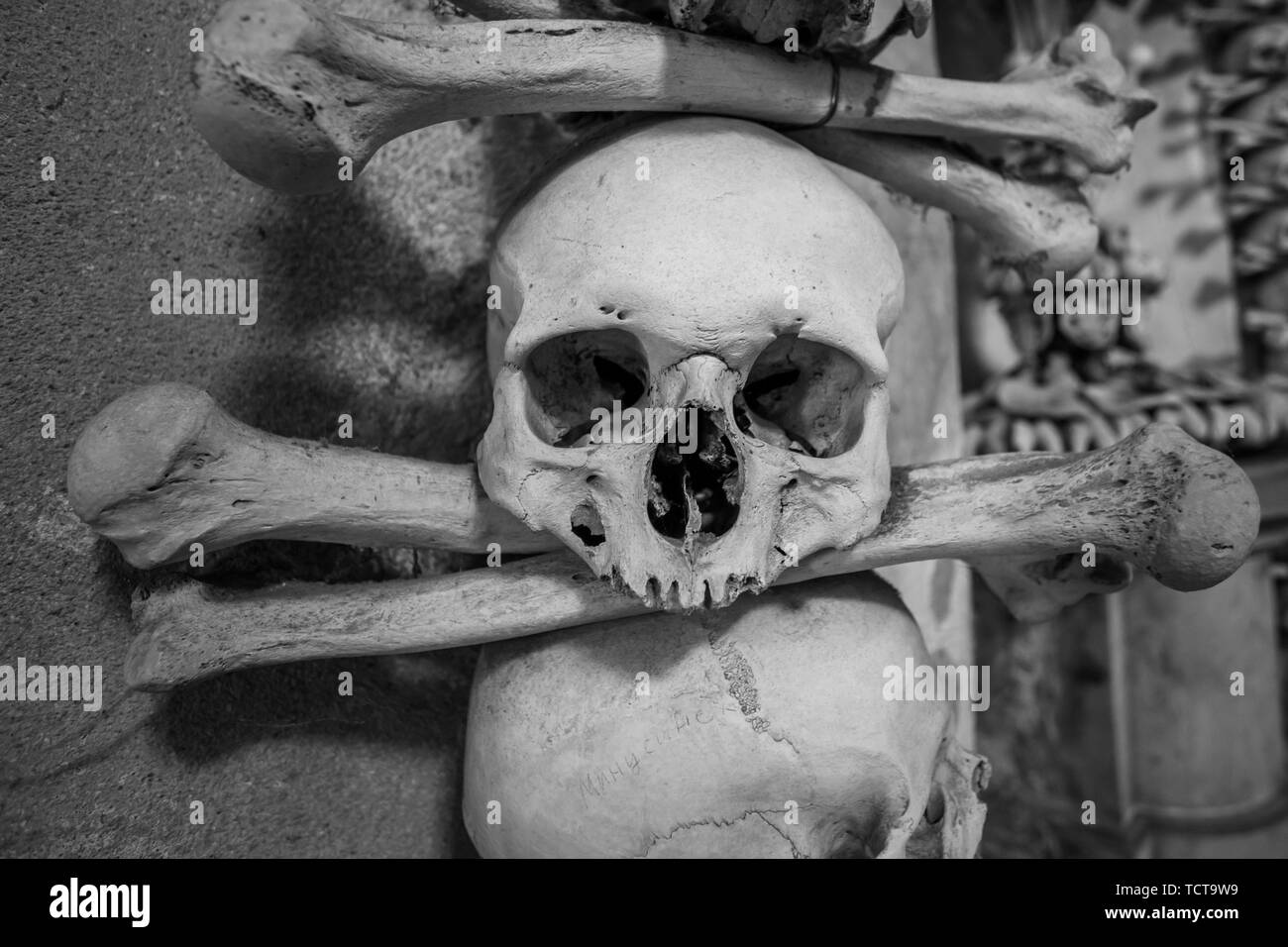 Teschi e le ossa su una parete, concetto spaventoso, real teschio umano. Foto Stock