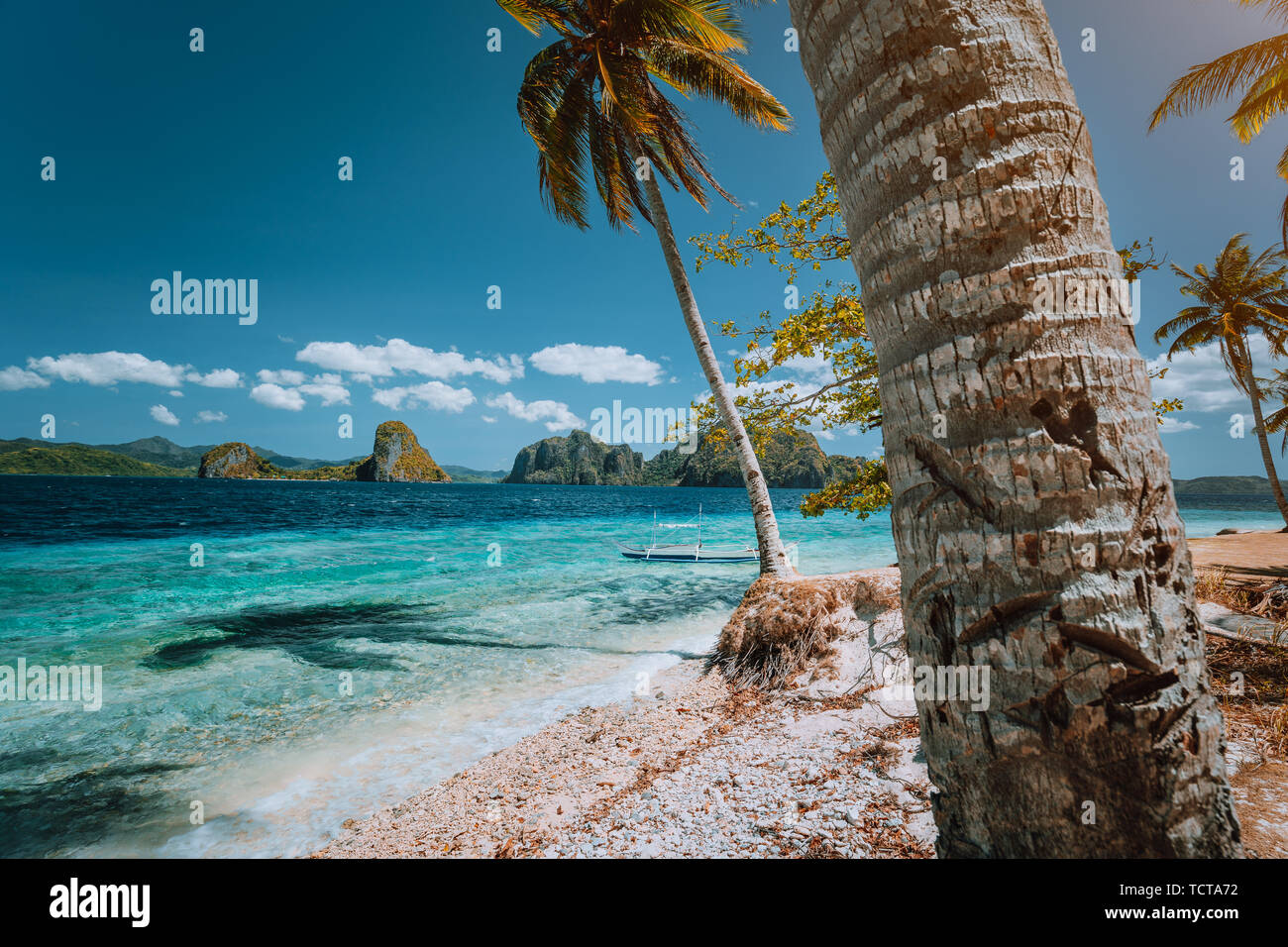 Palawan ben noto deve vedere i luoghi. Palme e lonely island hopping tour in barca sul vuoto Ipil spiaggia di Pinagbuyutan tropicale, Filippine Foto Stock