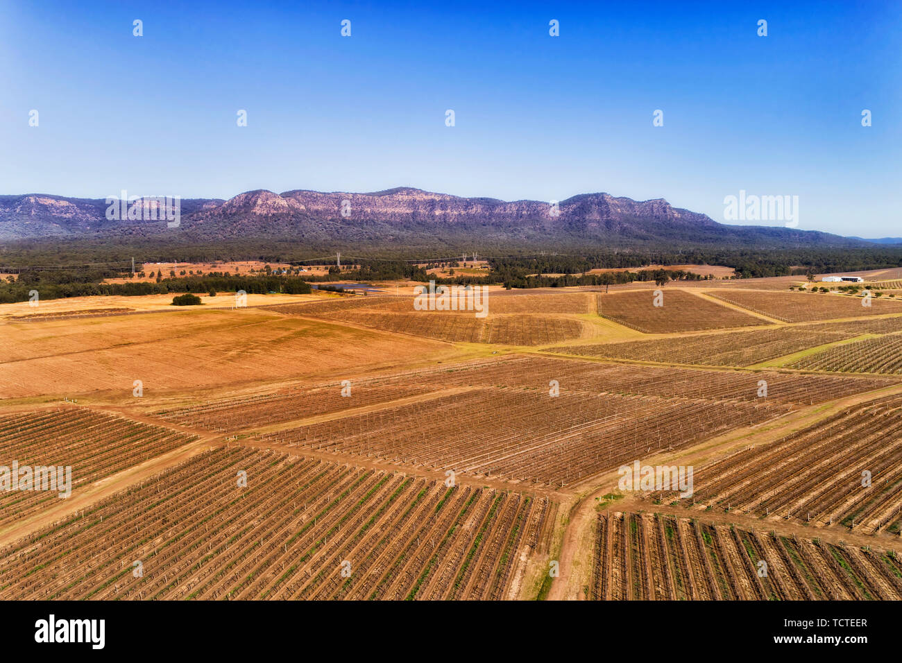 Inverno brown vigneti nella Hunter Valley Wine rendendo regione del NSW, Australia, in appoggio tra la stagione in vista di arenaria distanti mountain range aroun Foto Stock