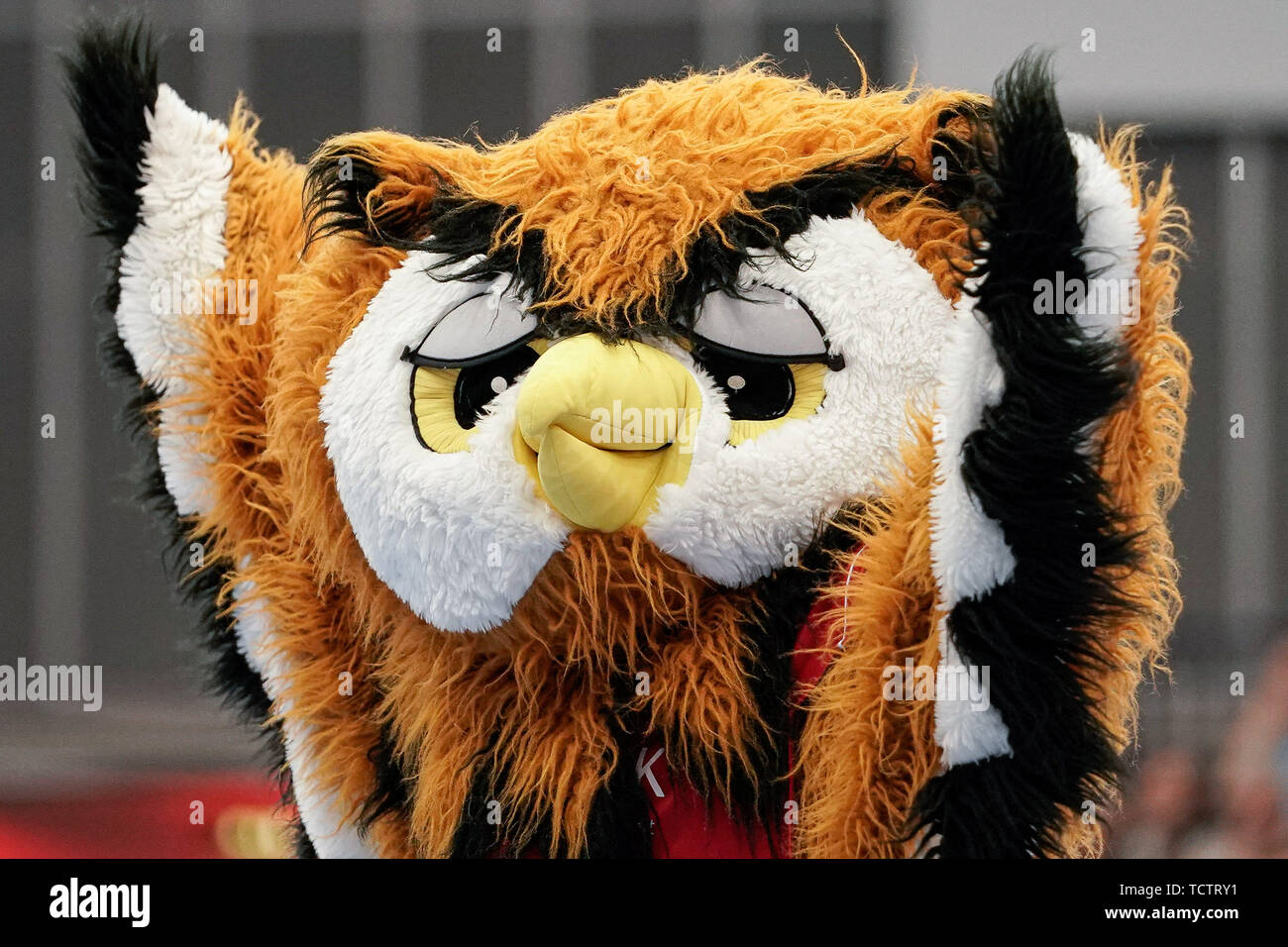 La Civetta (la mascotte del TSG Ludwigshafen-Friesenheim, Civette), immagine singola, azione, azione, 09.06.2019, Ludwigshafen am Rhein, pallamano, DKB Bundesliga, TSG Ludwigshafen-Friesenheim (Civette) - TSV GWD Minden | Utilizzo di tutto il mondo Foto Stock