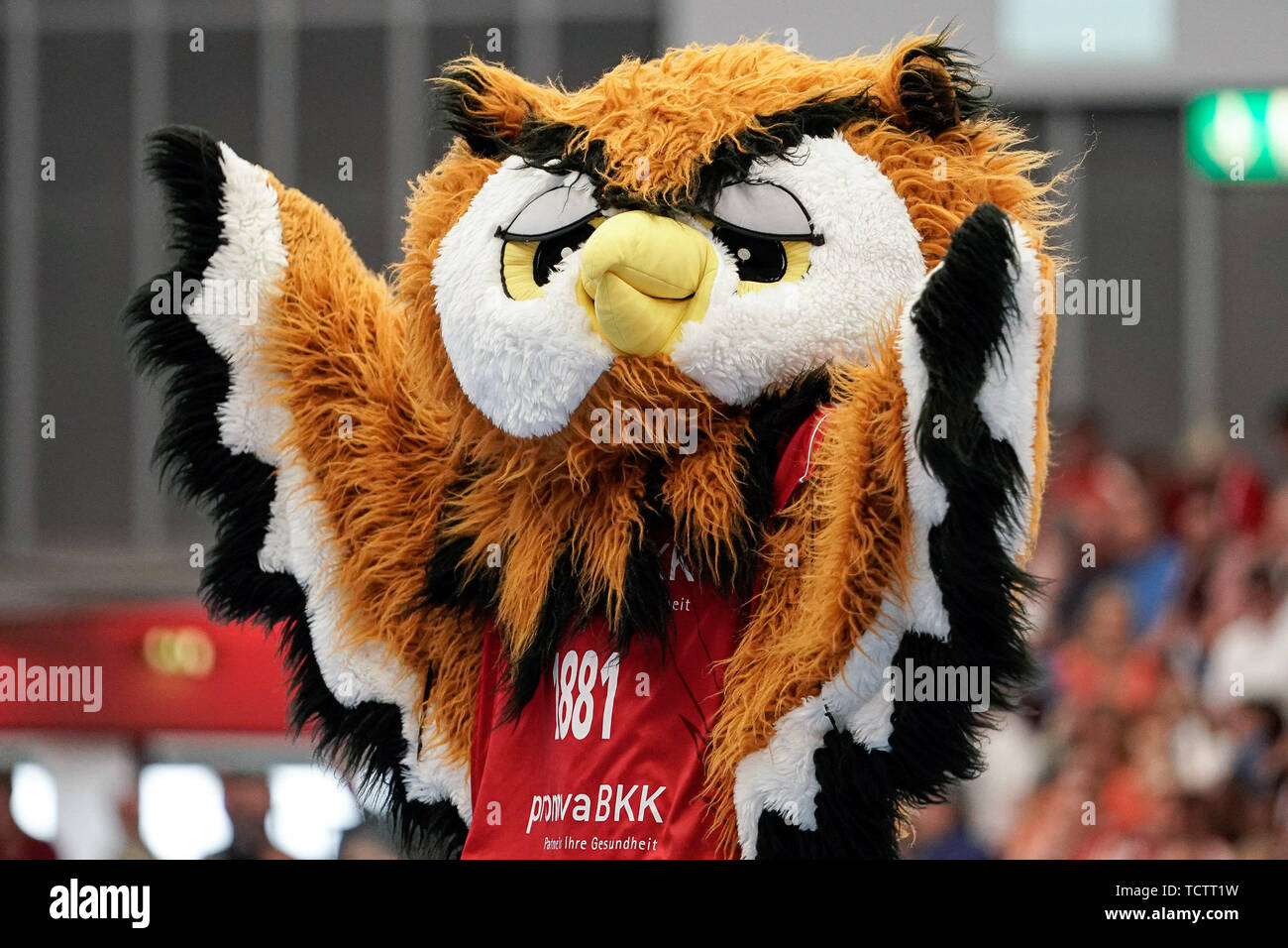 La Civetta (la mascotte del TSG Ludwigshafen-Friesenheim, Civette), immagine singola, azione, azione, 09.06.2019, Ludwigshafen am Rhein, pallamano, DKB Bundesliga, TSG Ludwigshafen-Friesenheim (Civette) - TSV GWD Minden | Utilizzo di tutto il mondo Foto Stock