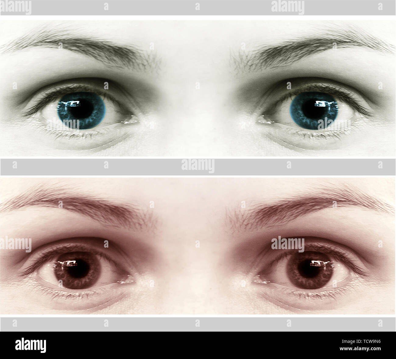 L'umano occhi chiari; onface impostato Foto Stock