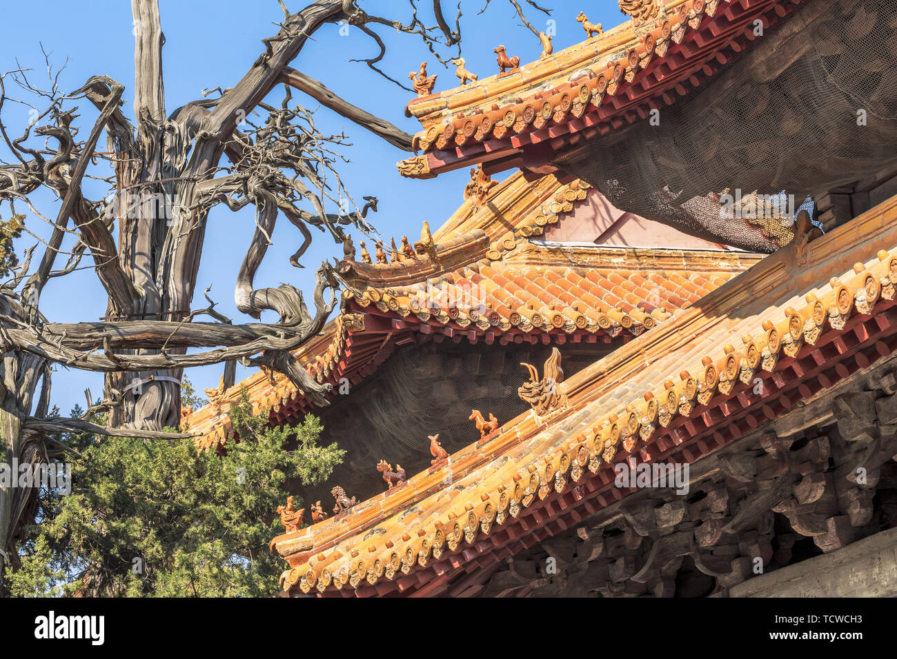 L'antico padiglione tablet del Tempio di Confucio in Qufu, Provincia di Shandong Foto Stock