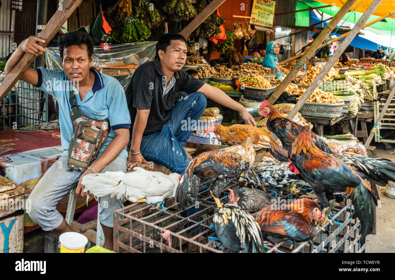 Makassar, Sulawesi, Indonesia - 28 febbraio 2019: Mercato di via Terong. Due uomini vendono polli viventi, legati alla gabbia di ferro, come carne di pollo fresca Foto Stock