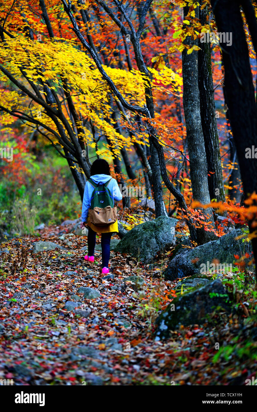 In autunno le montagne ---Nikon D800E 105F1.4 Foto Stock