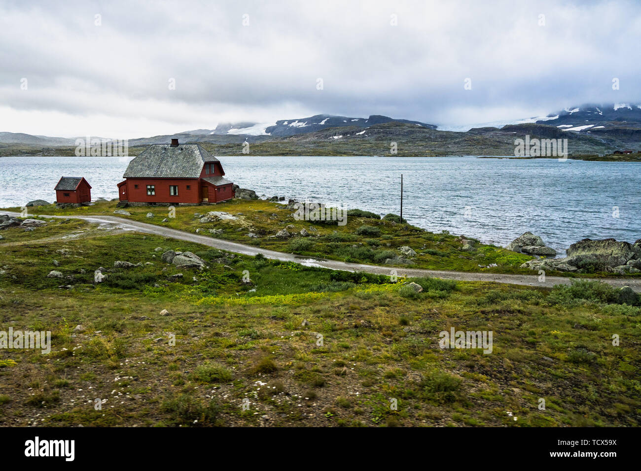Una casa isolata su un lago nel Parco Nazionale di Hardangervidda vicino a Finse, Norvegia. Foto scattata dal treno Oslo-Bergen, uno dei più spettacolari in Europa Foto Stock