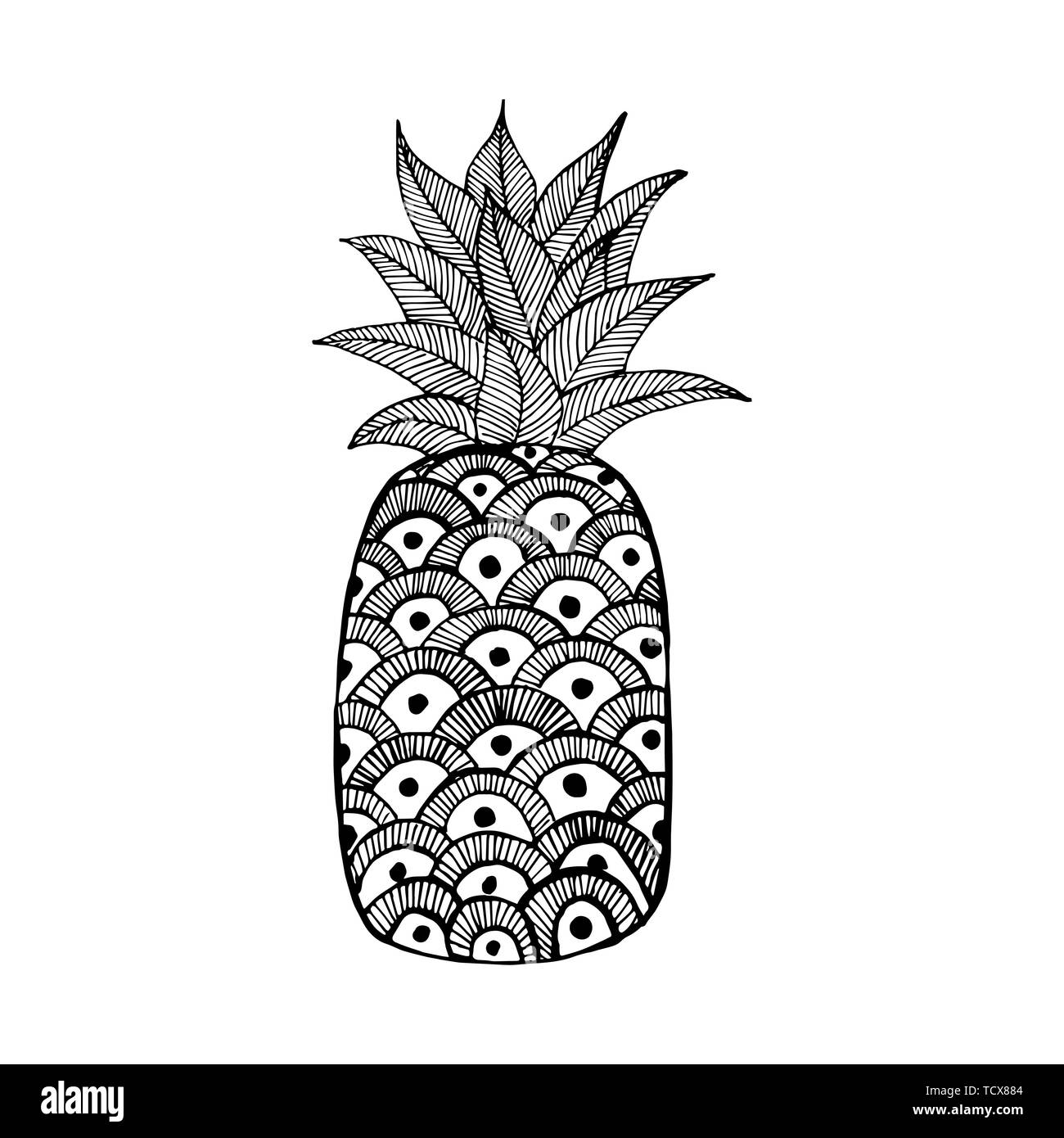 Disegnato a mano icona di ananas. Ananas isolati su sfondo bianco. Illustrazione Vettoriale Illustrazione Vettoriale