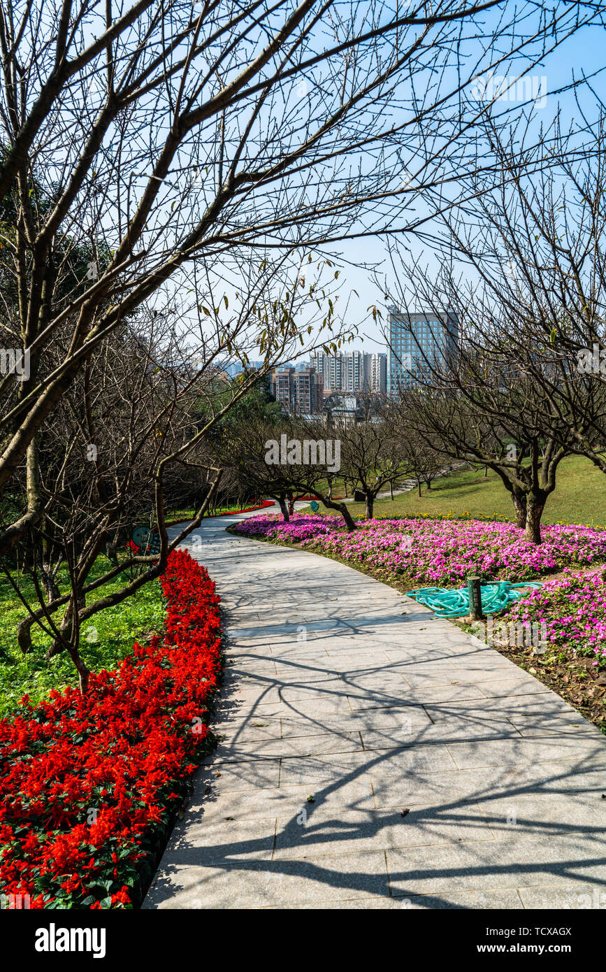 Chengdu giardino botanico Foto Stock