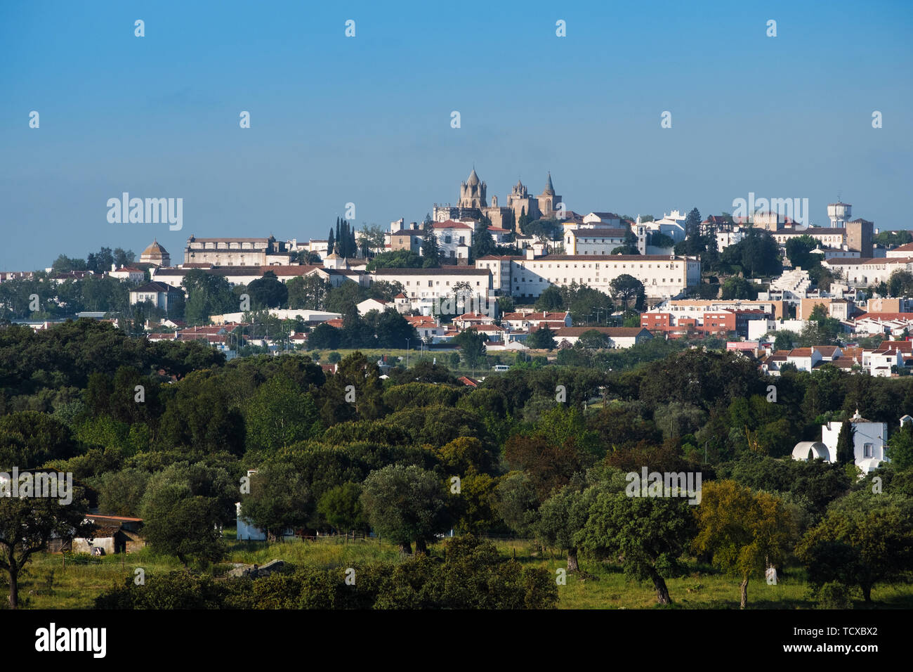 Vista della città di Evora con querce da sughero campi in primo piano, Evora, Alentejo, Portogallo, Europa Foto Stock