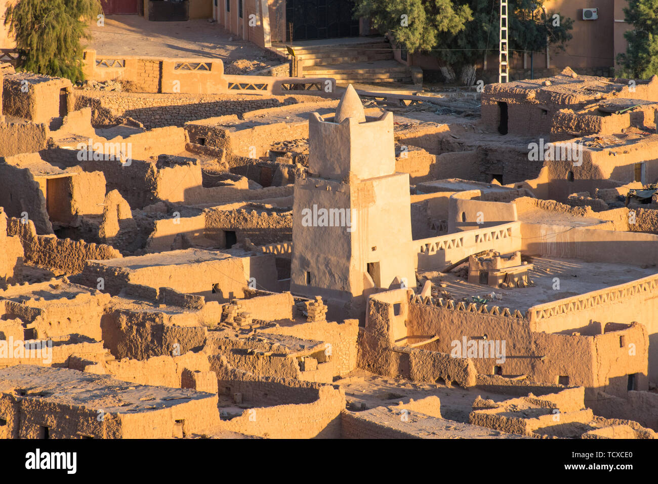 Vista sull'Oasi di Taghit, Algeria occidentale, il Nord Africa e Africa Foto Stock