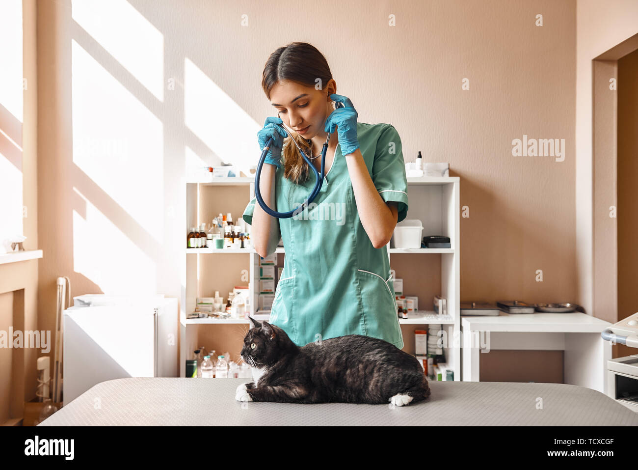 Pet Health. Ritratto di una donna giovane veterinario in uniforme di lavoro tenendo un phonendoscope e guardando il gatto nero che giace sul tavolo della medicina veterinaria Foto Stock