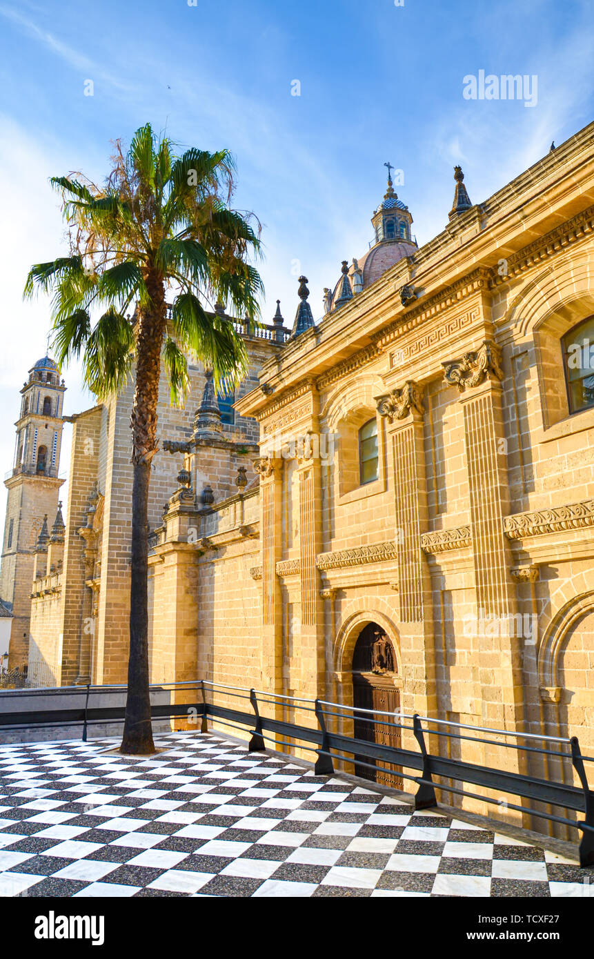 Bella Jerez de la Frontera cattedrale in Andalusia, Spagna fotografato con un unico albero di palma in una luce del tramonto. La storica città spagnola è una popolare destinazione turistica. Vacanze, Viaggi. Foto Stock