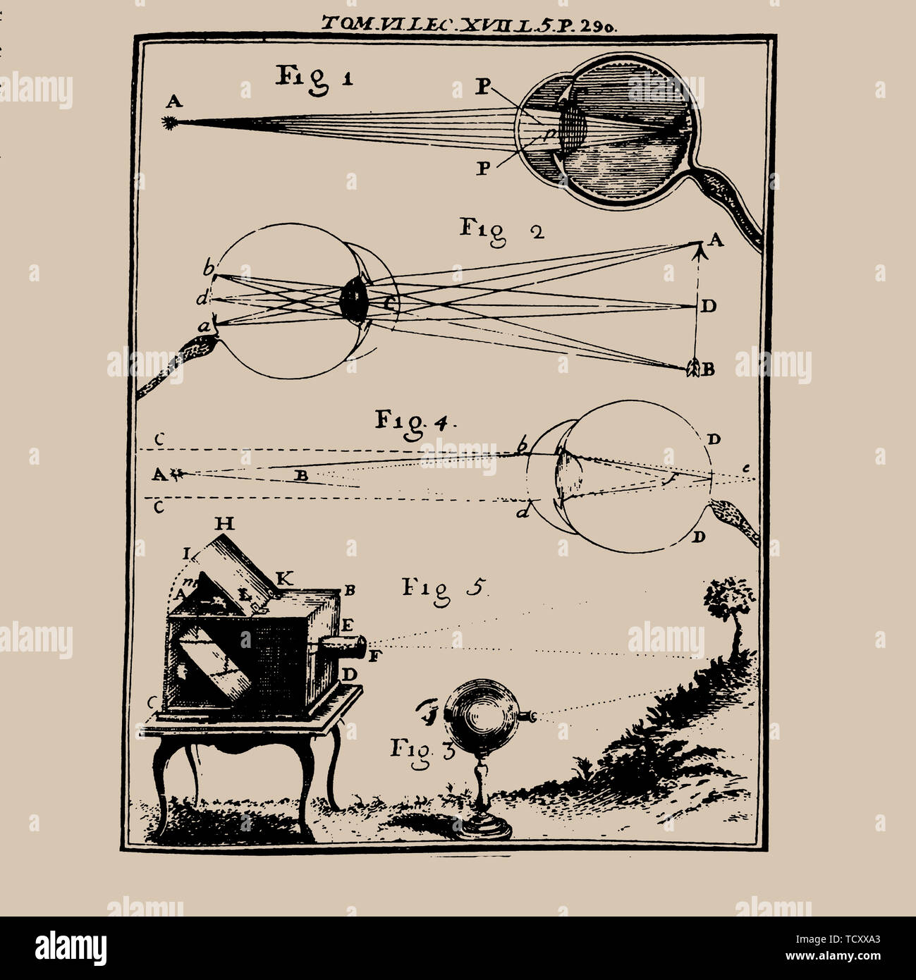 Illustrazione comparativa dell'occhio umano e la Camera Obscura, XVIII secolo. Creatore: anonimo. Foto Stock