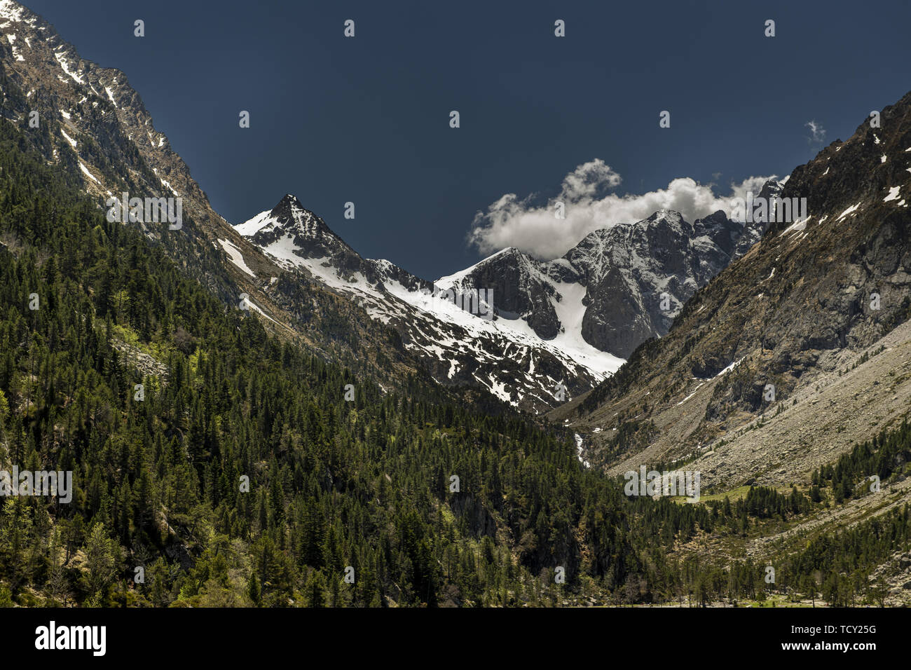 L'Europa, Francia, Pirenei, 06-2019, lago di Gaube è un lago dei Pirenei francesi, nel dipartimento delle Hautes Pyrénées, vicino alla città di Cauterets. Foto Stock