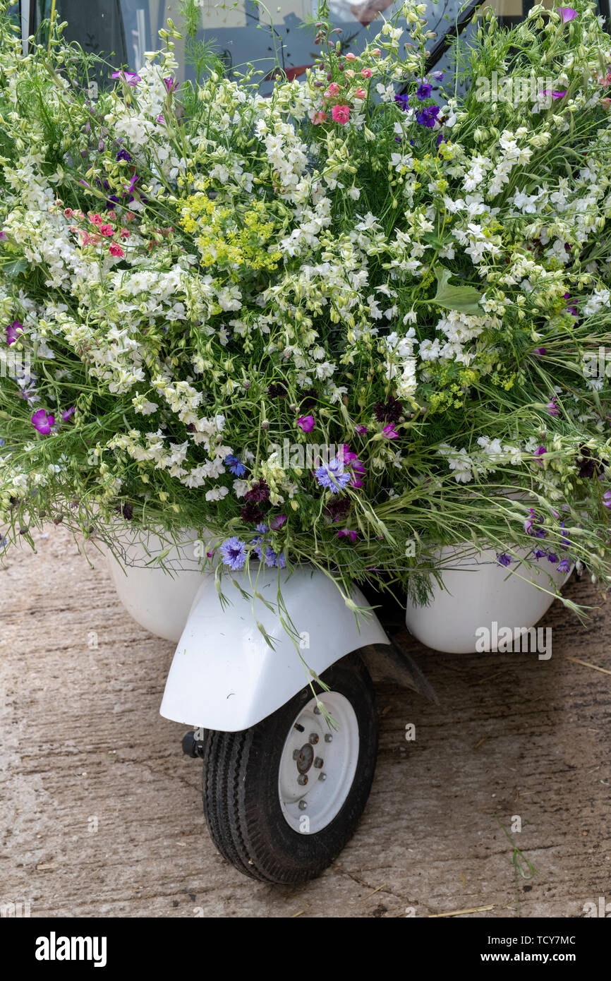 Indian rickshaw ricoperto di fiori selvatici a Daylesford fattoria organica summer festival. Daylesford, Cotswolds, Gloucestershire, Inghilterra Foto Stock