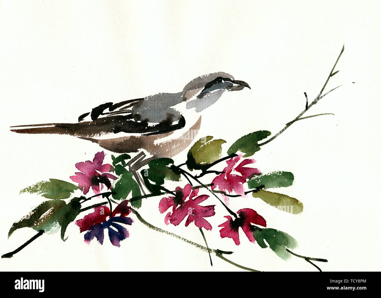 Fiori di sfondo di uccelli bella carino impianto illustrazione decorativo design naturale splendido verde romantico Foto Stock