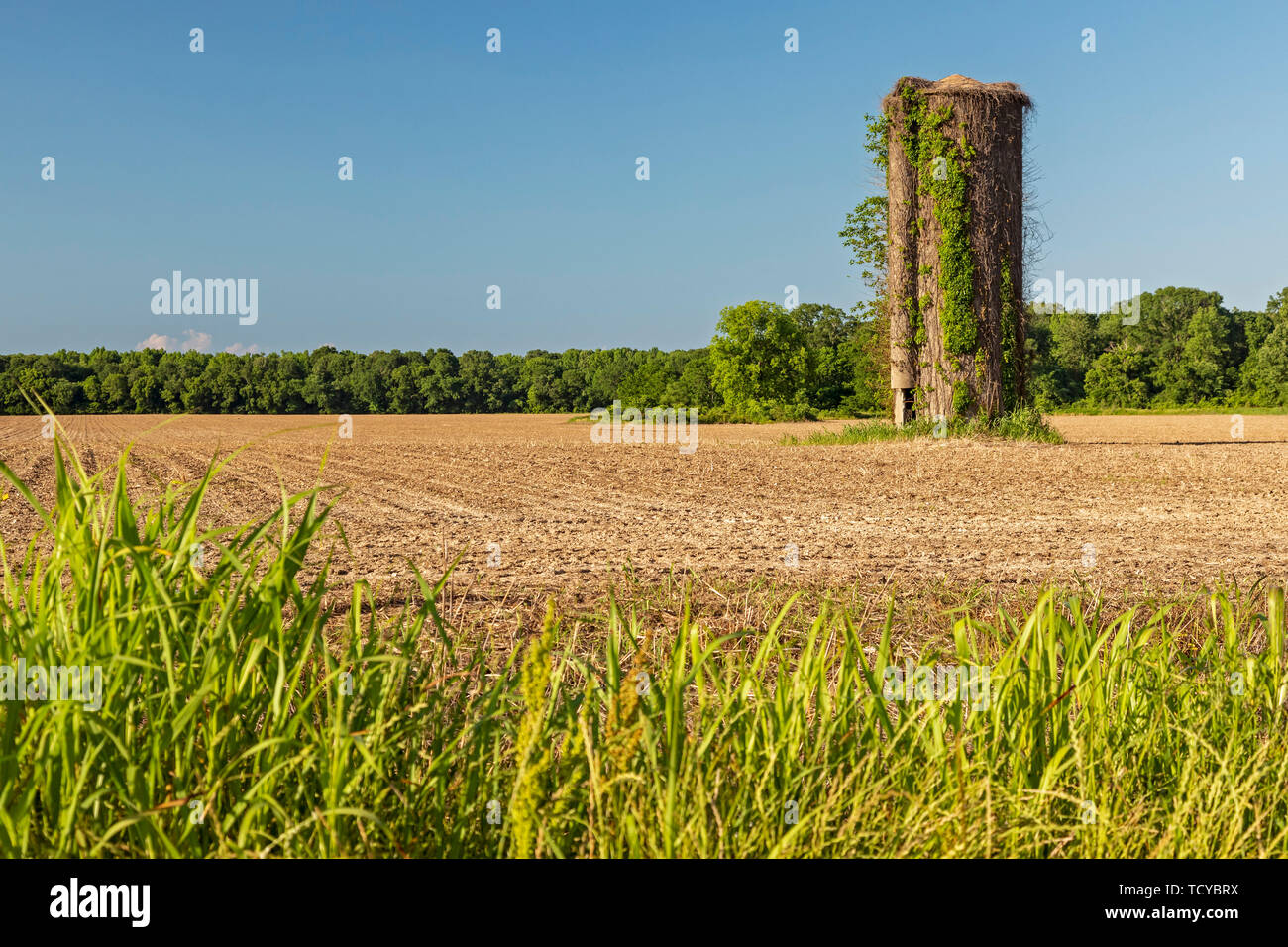 Lorman, Mississippi - un vecchio silo in una fresca-arata campo di fattoria. Foto Stock