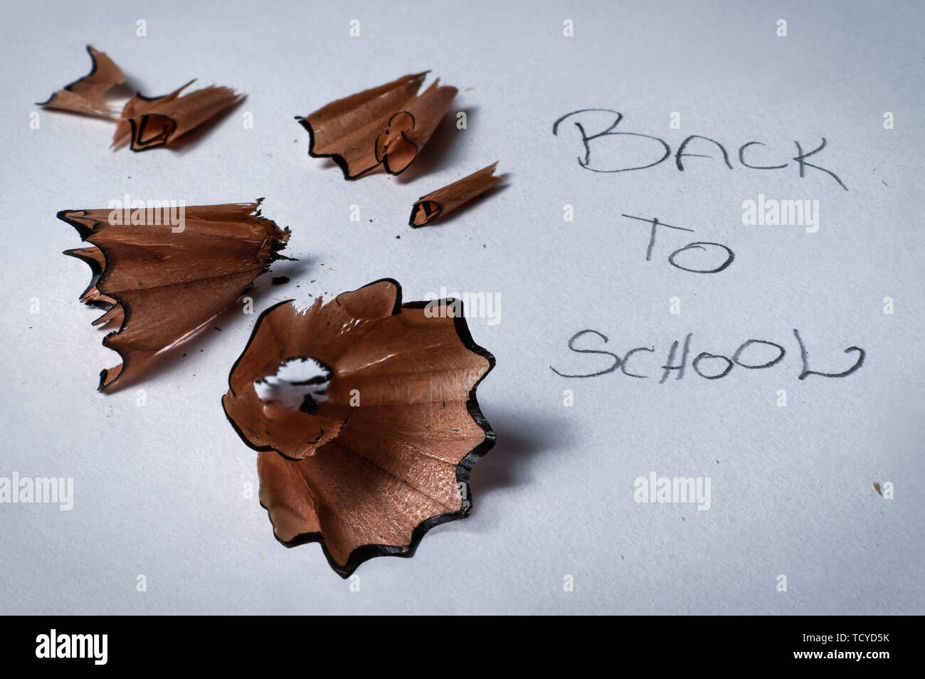 Macro Closeup dettaglio di temperamatite in legno trucioli di turbolenza con testo scritto il ritorno a scuola - Concetto di istruzione scolastica, apprendimento, studente Foto Stock