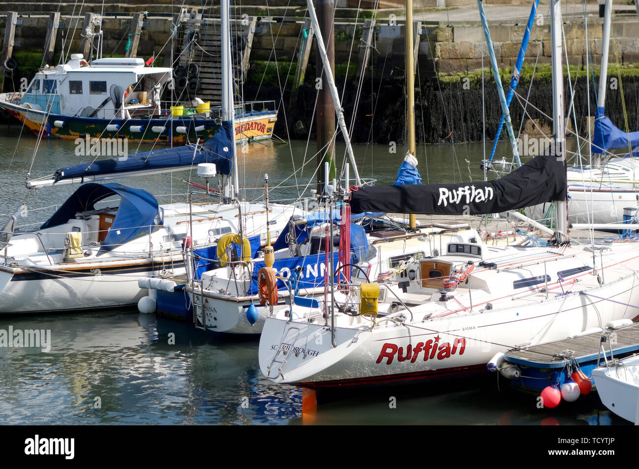 Sailing yacht ormeggiati nel South Bay Harbor a scarborough yorkshire Inghilterra Foto Stock