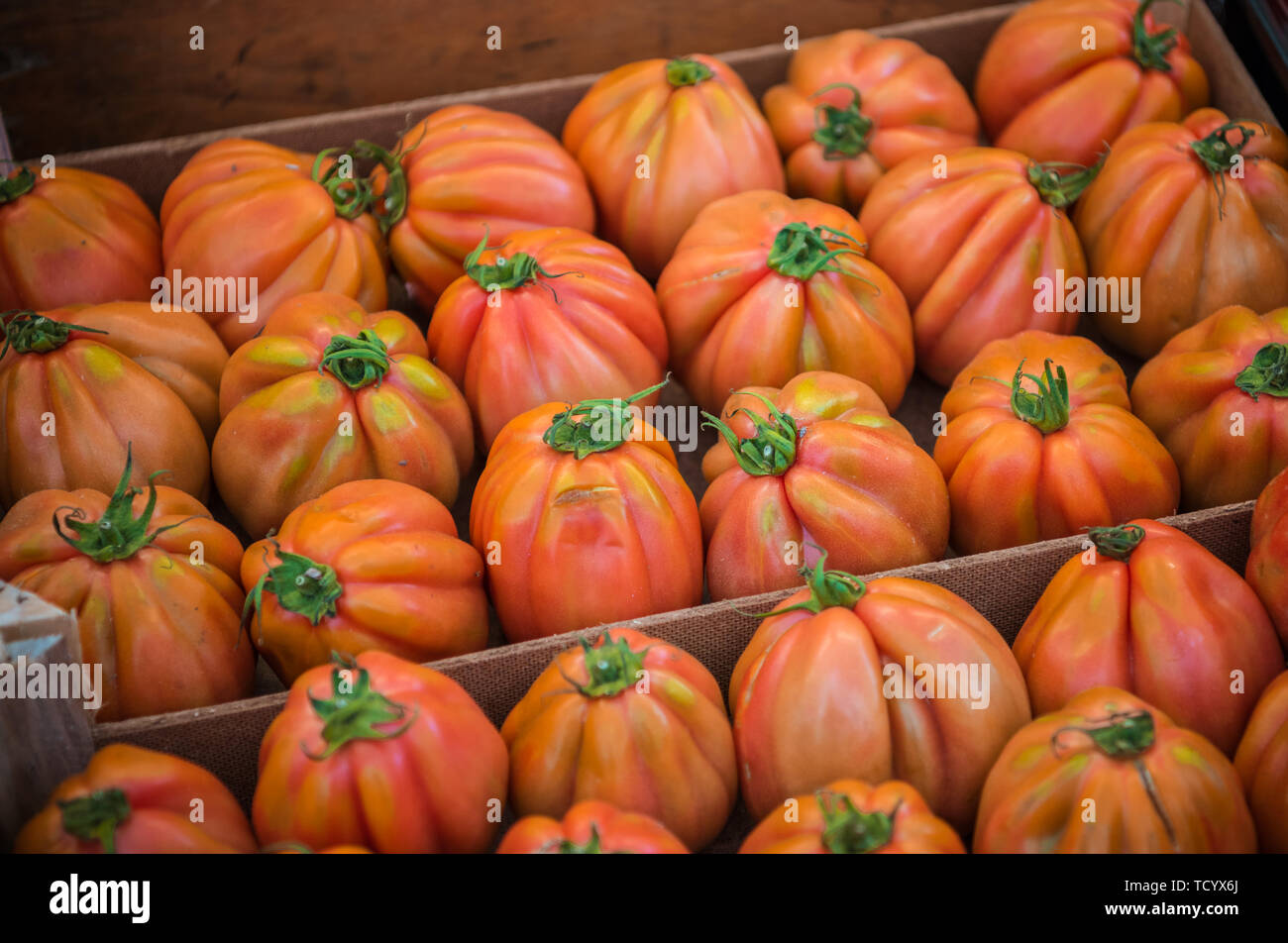 Grazioso mini vegetale zucca al bazaar di stranieri Foto Stock