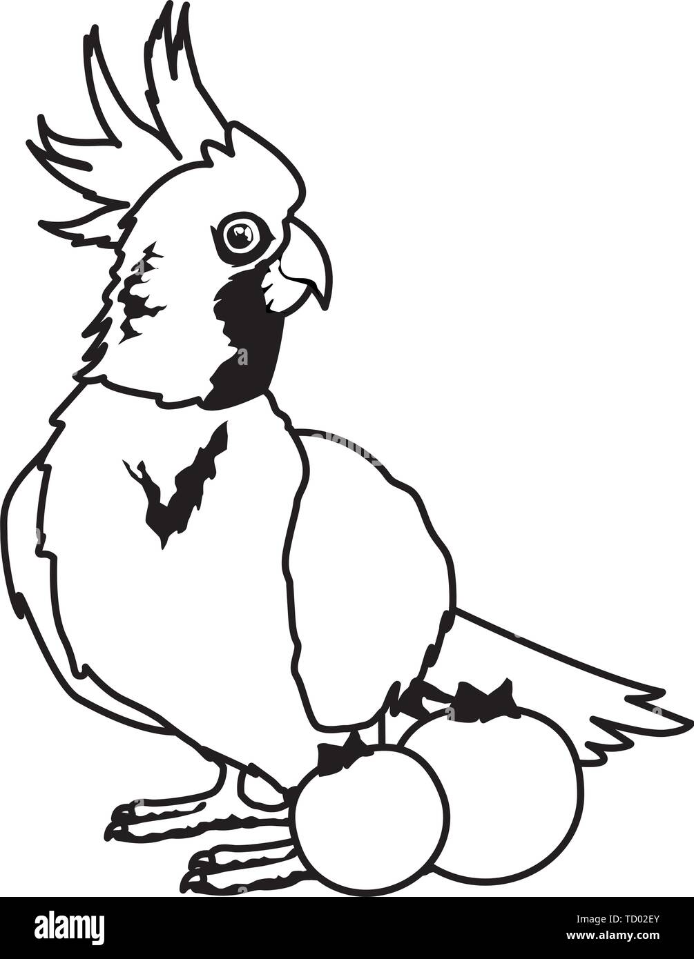 Parrot selvatici icona cacatua cartoon in bianco e nero Illustrazione Vettoriale