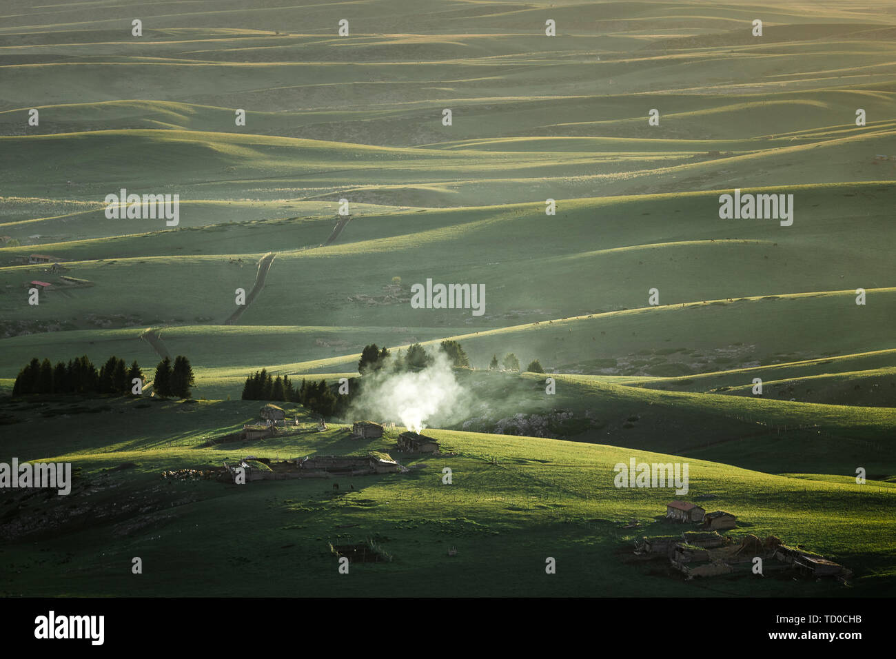 Fumo prateria di curling Foto Stock