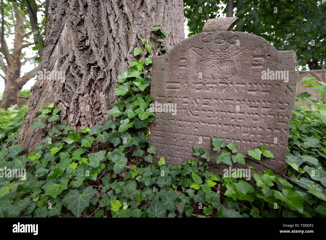 Cavalletto di lapidi del vecchio cimitero ebraico di Bonn Schwarzrheindorf, Germania. Foto Stock