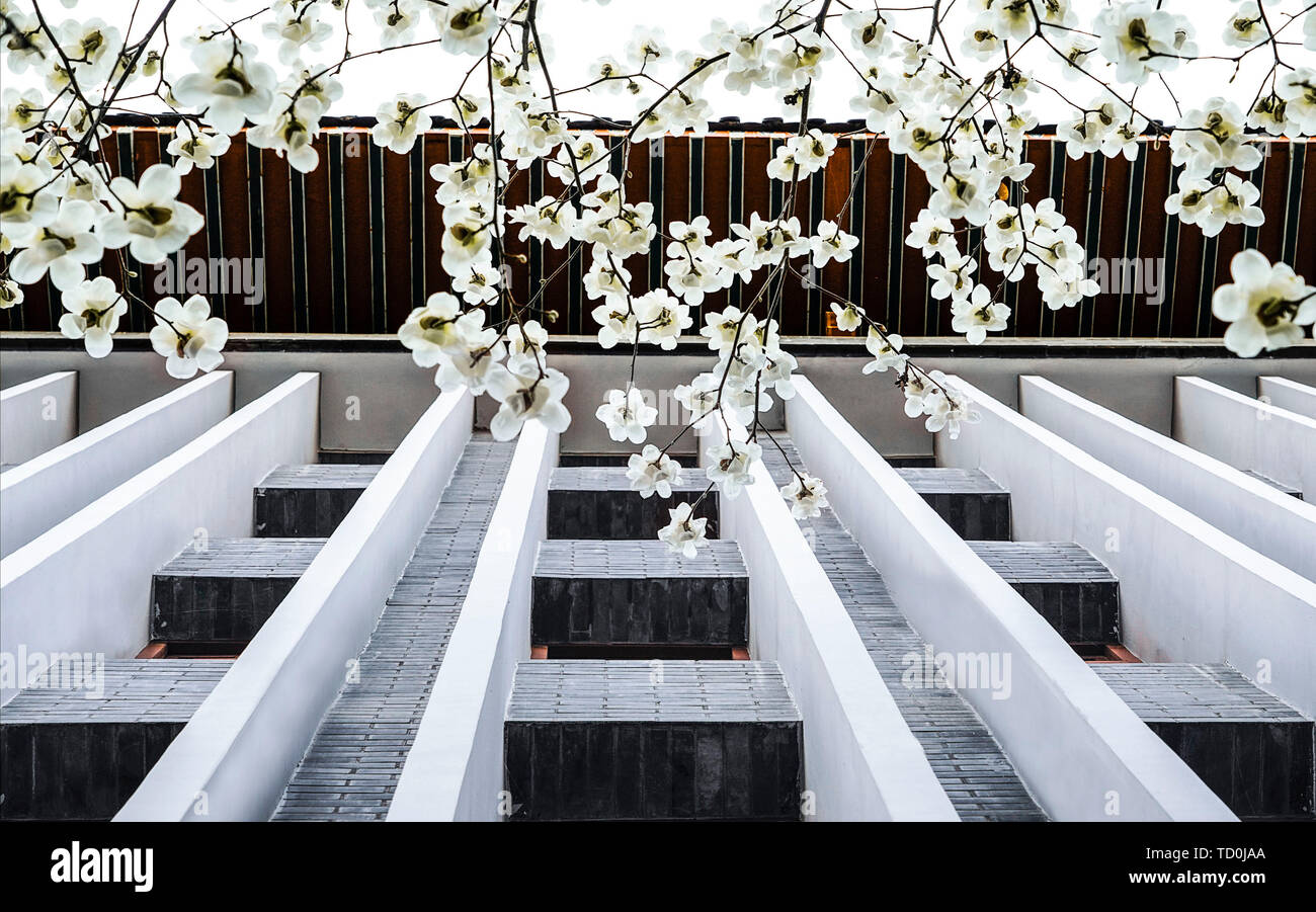 I fiori sono aperti Foto Stock