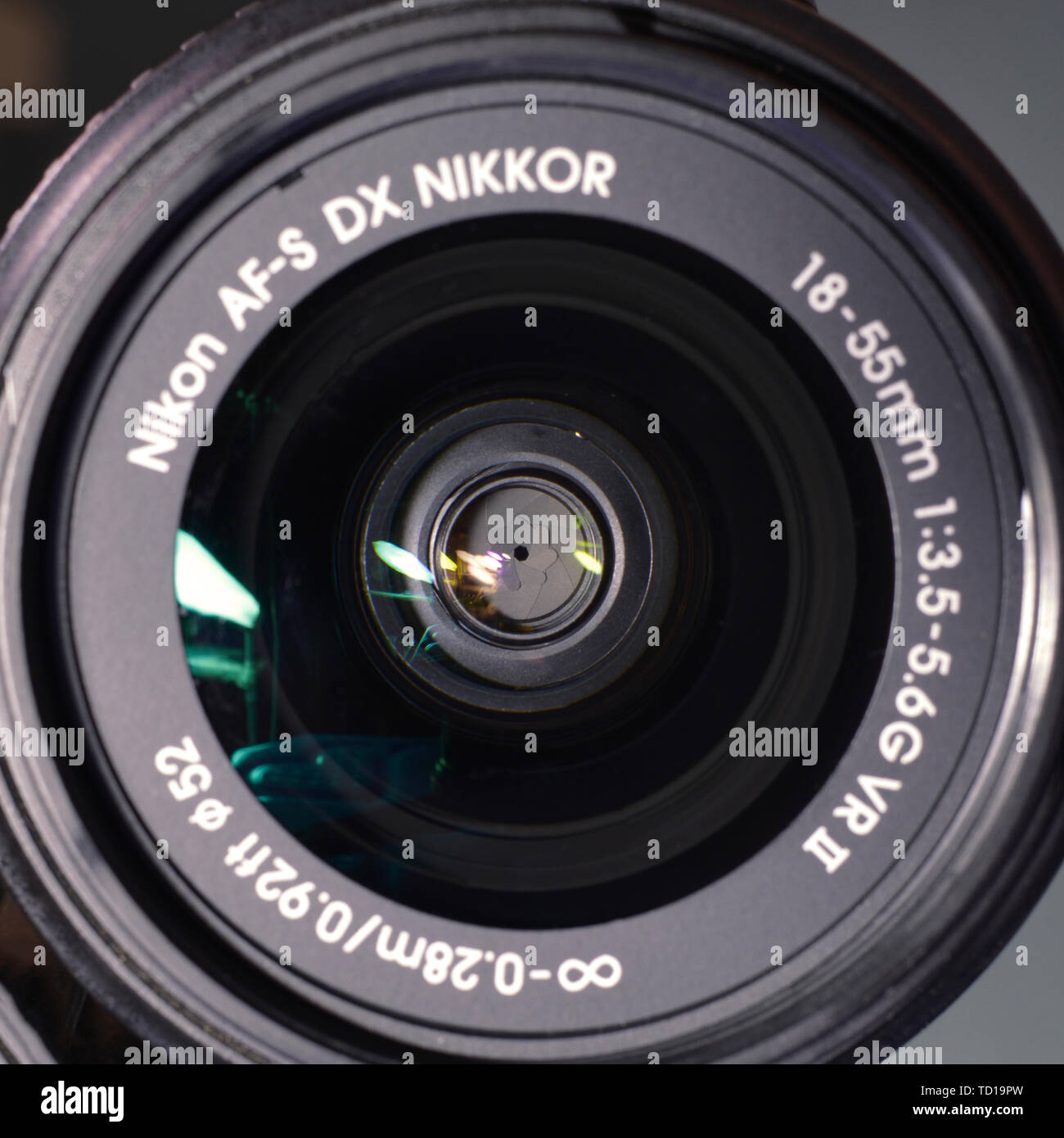 Favorite shot, testa di cane, nessun cane. Foto Stock