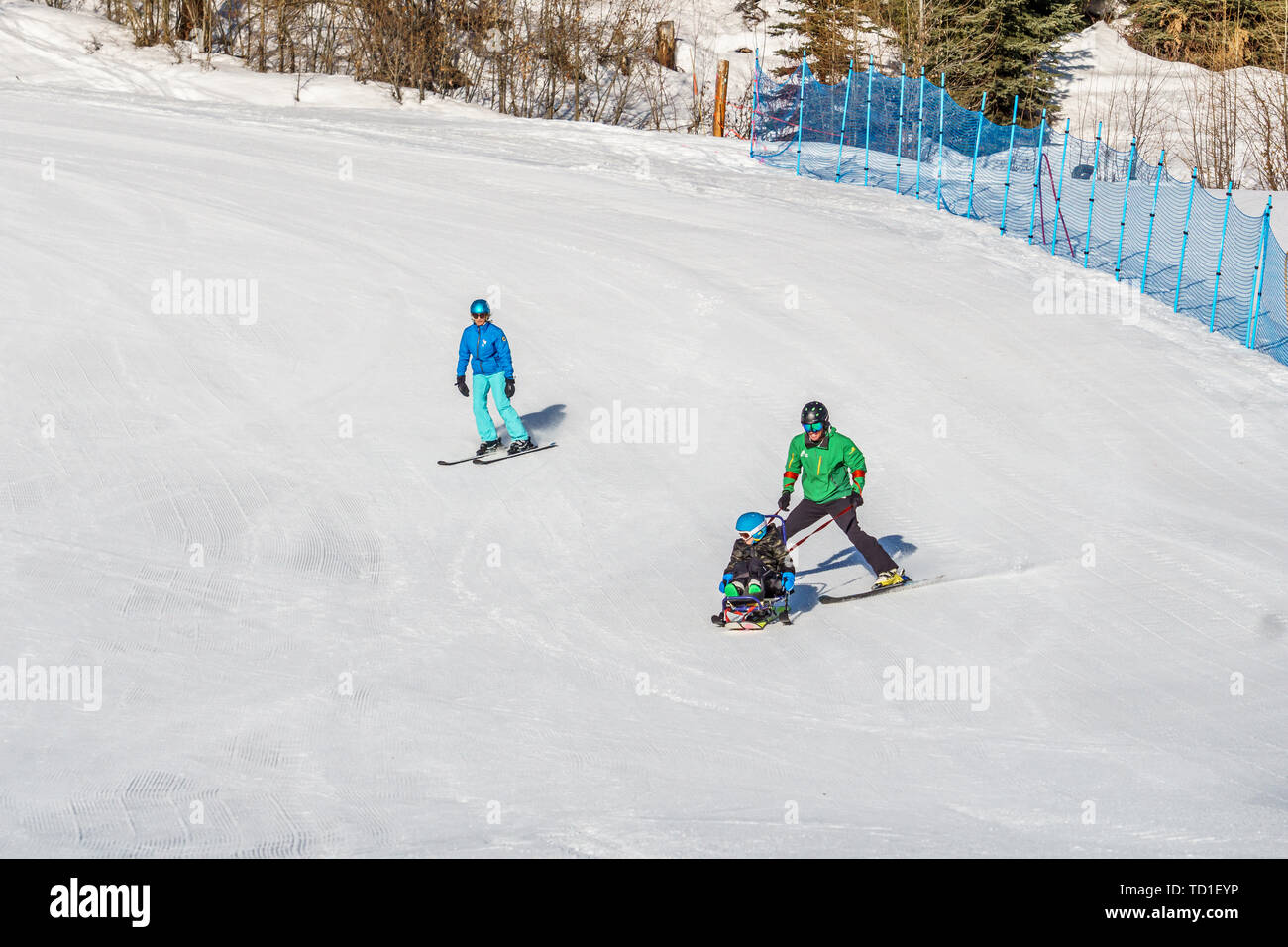 KIMBERLEY, CANADA - 22 MARZO 2019: Persona portatore di handicap che guida un sit-ski Vancouver Adaptive Snow Sports. Foto Stock