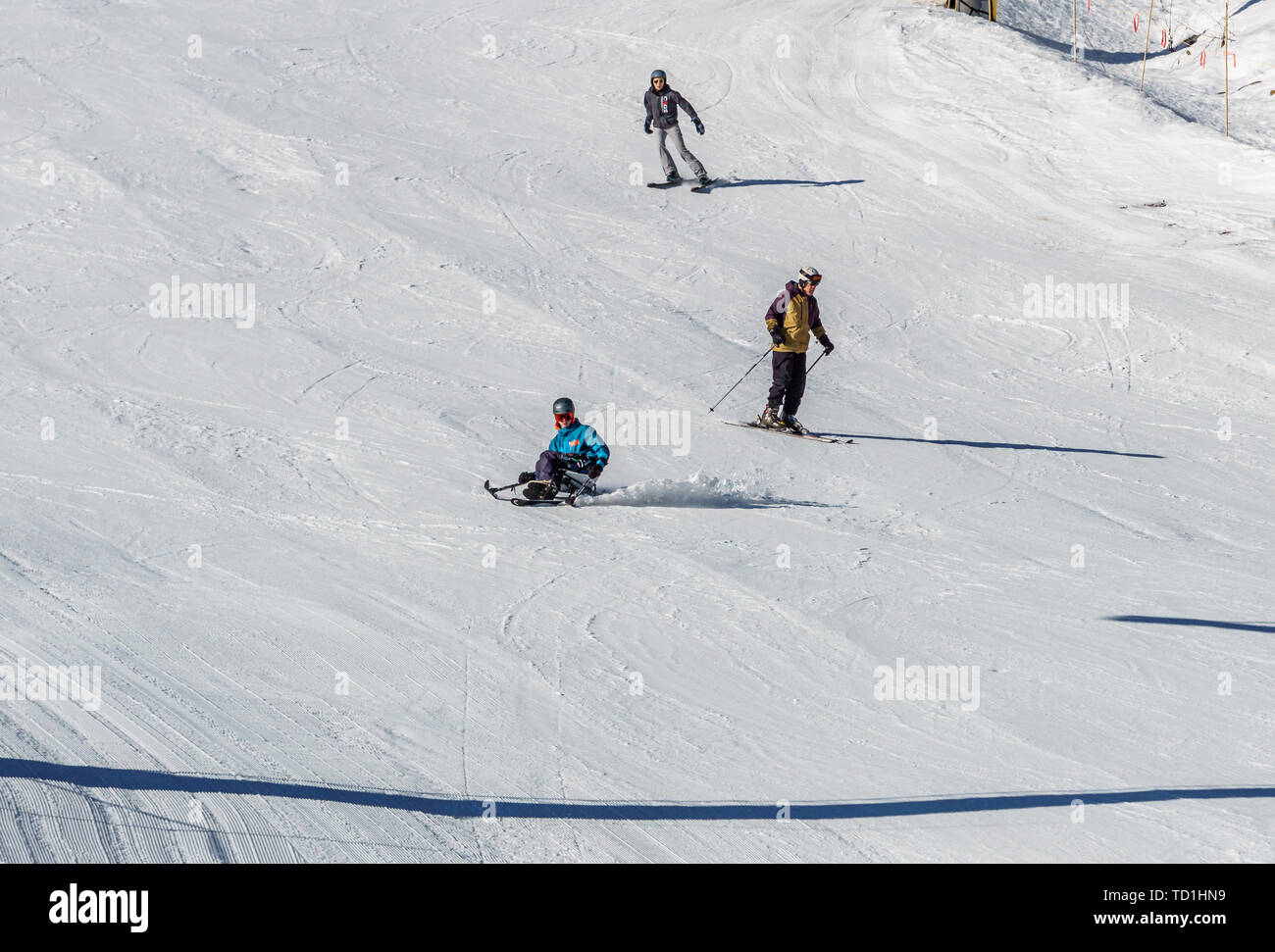 KIMBERLEY, CANADA - 22 MARZO 2019: Persona portatore di handicap che guida un sit-ski Vancouver Adaptive Snow Sports. Foto Stock