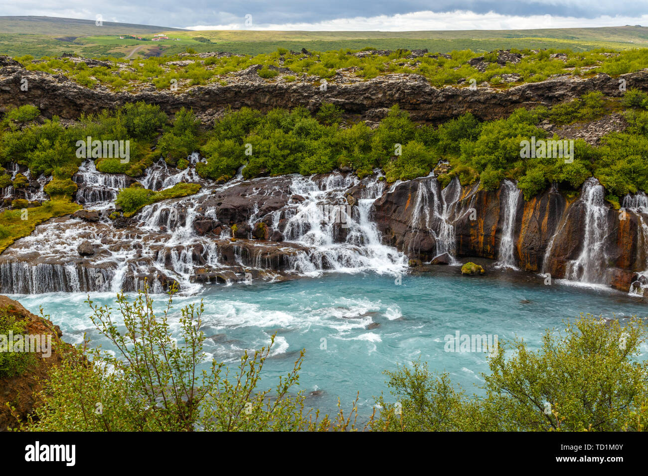 Hraunfossar cascata flussi potenti cadere nel fiume Hvita acque turchesi, Husafell, Western Islanda Foto Stock