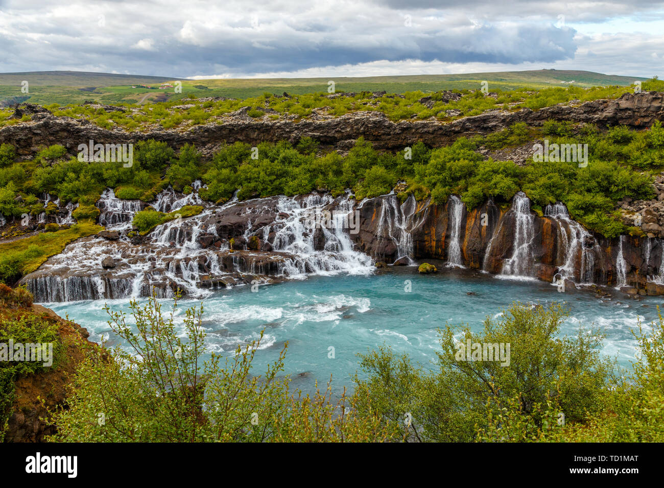 Hraunfossar cascata flussi potenti cadere nel fiume Hvita acque turchesi, Husafell, Western Islanda Foto Stock