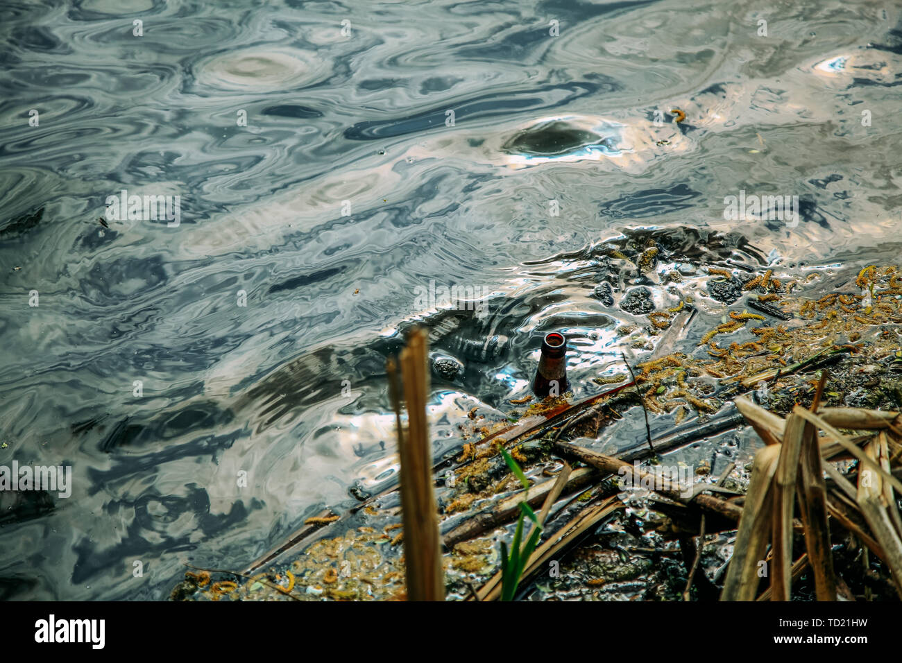 Un vuoto che la bottiglia di vetro galleggianti verso il basso un fiume fangoso. Foto Stock