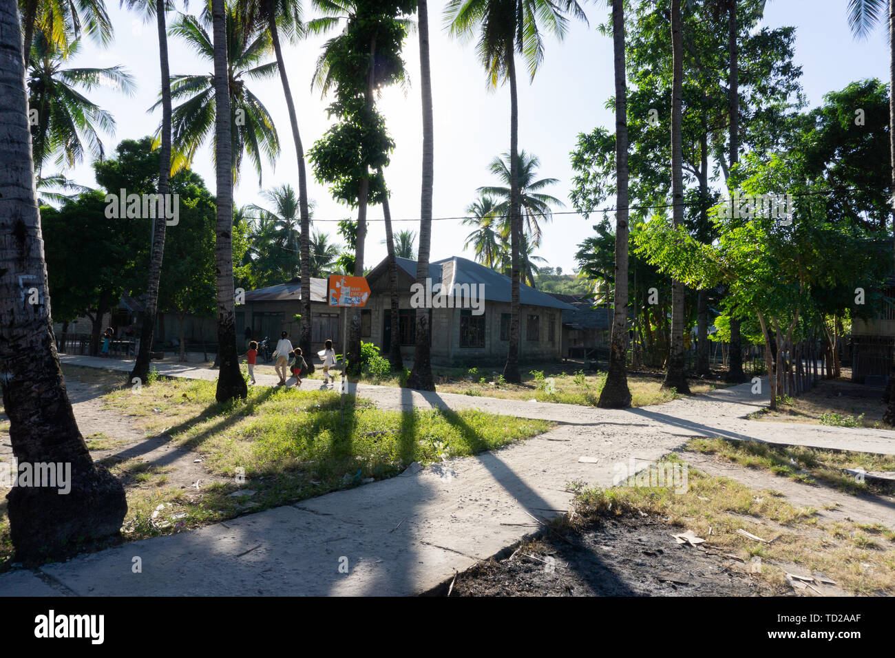 Una vita tropicale sull'isola Pemana, Flores, Indonesia. Completare con la calda luce del sole e gli alberi di cocco Foto Stock