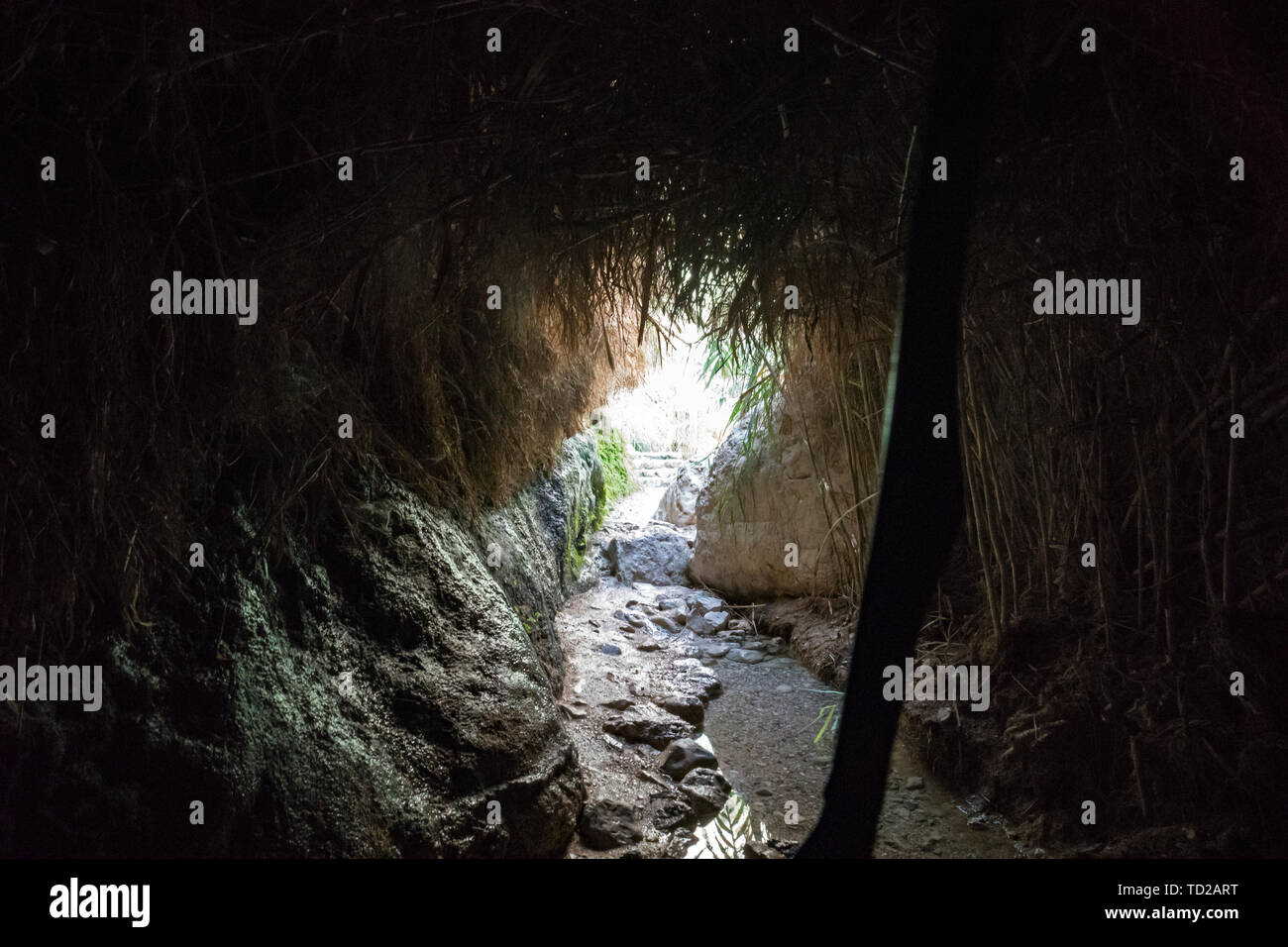 All'interno della grotta cupa umido con pareti in pietra e erba secca soffitto sorretto con bastone, il pavimento presenta delle pietre e acqua. Vuoto coperchio umana in una grotta Foto Stock