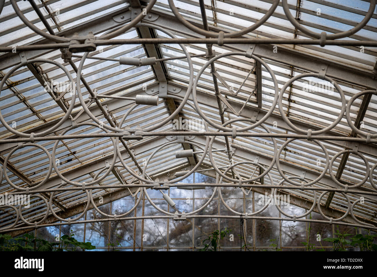 Il soffitto nella casa Ninfea in Kew Gardens, Londra. Foto Stock