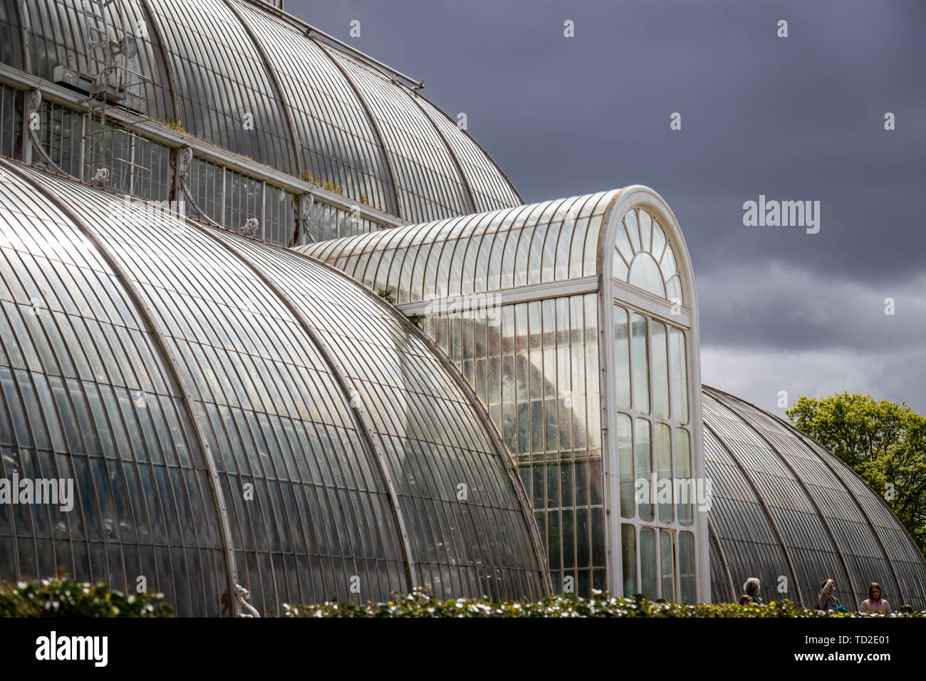 Un ampio angolo di visione della casa delle palme da dietro con un moody sky in Kew Gardens. Foto Stock