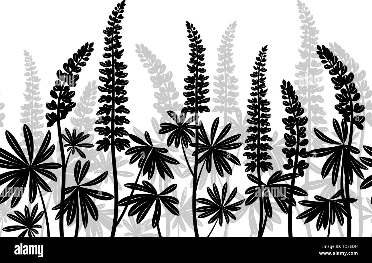Piante di lupino, senza saldatura Illustrazione Vettoriale