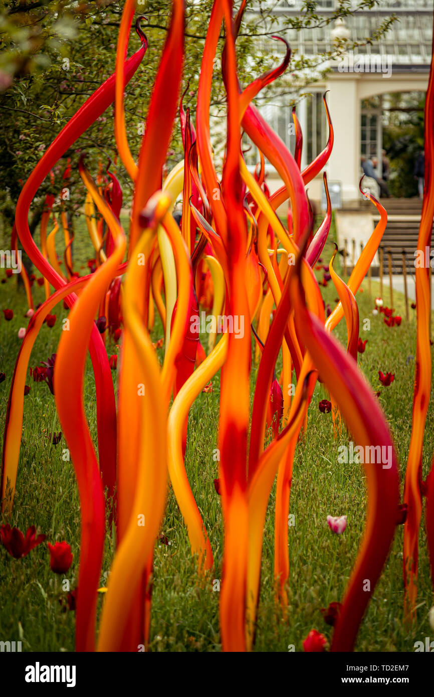 Cattails in rame e lamelle di betulla di Dale Chihuly, parte di una scultura in vetro presentano in Kew Gardens. Foto Stock