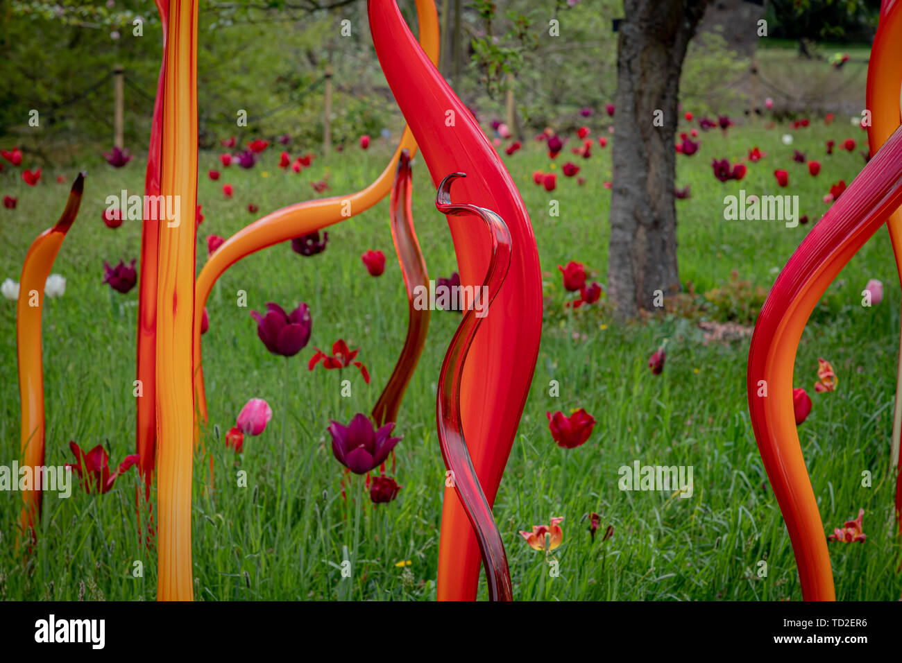 Cattails in rame e lamelle di betulla di Dale Chihuly, parte di una scultura in vetro presentano in Kew Gardens. Foto Stock