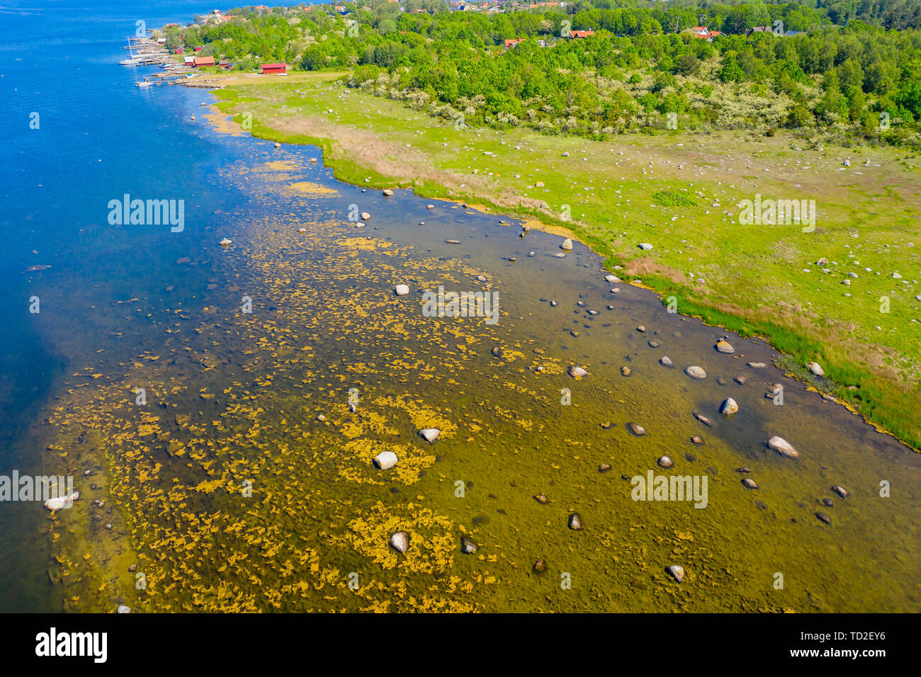 Baia poco profonda al di fuori di un prato sulla riva dell'isola Hasslo in Blekinge arcipelago, Svezia. Foto Stock