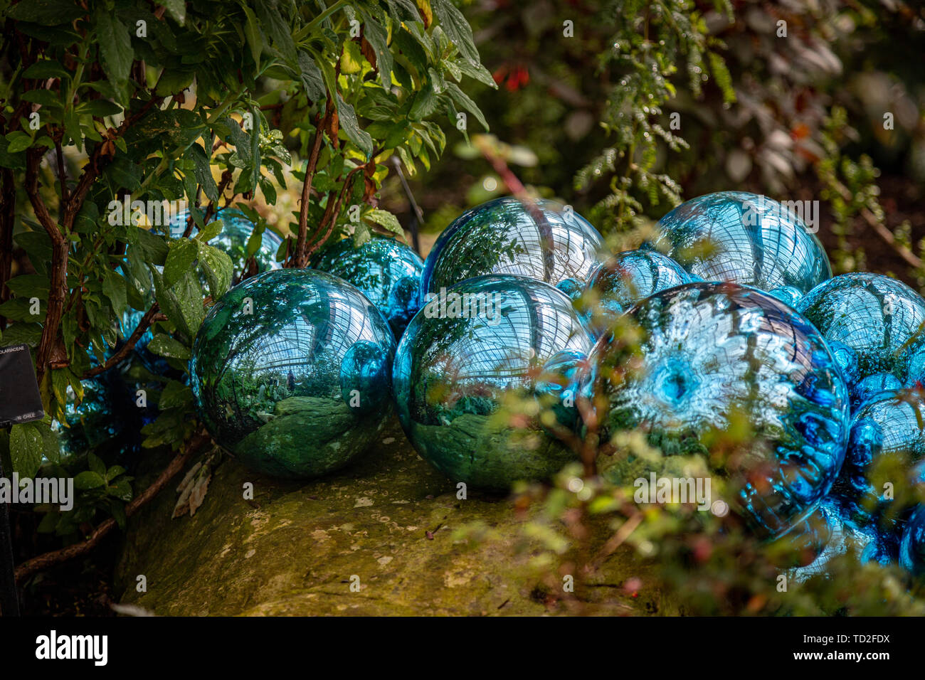 Un gruppo di blu riflettente le sfere sono parte delle sculture in vetro di Dale Chihuly sul display a Kew Gardens, Londra. Foto Stock